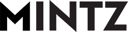 Shop MINTZ Logo